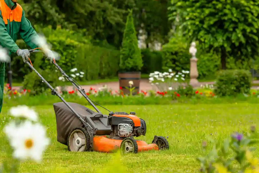 Our Reliable Landscaping Contractor in Elizabeth, NJ