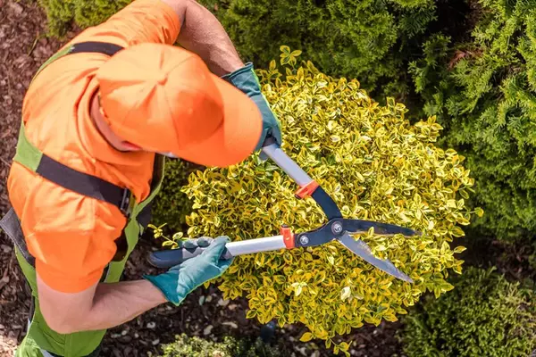 Gardening Services